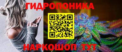 гашик Гусиноозёрск