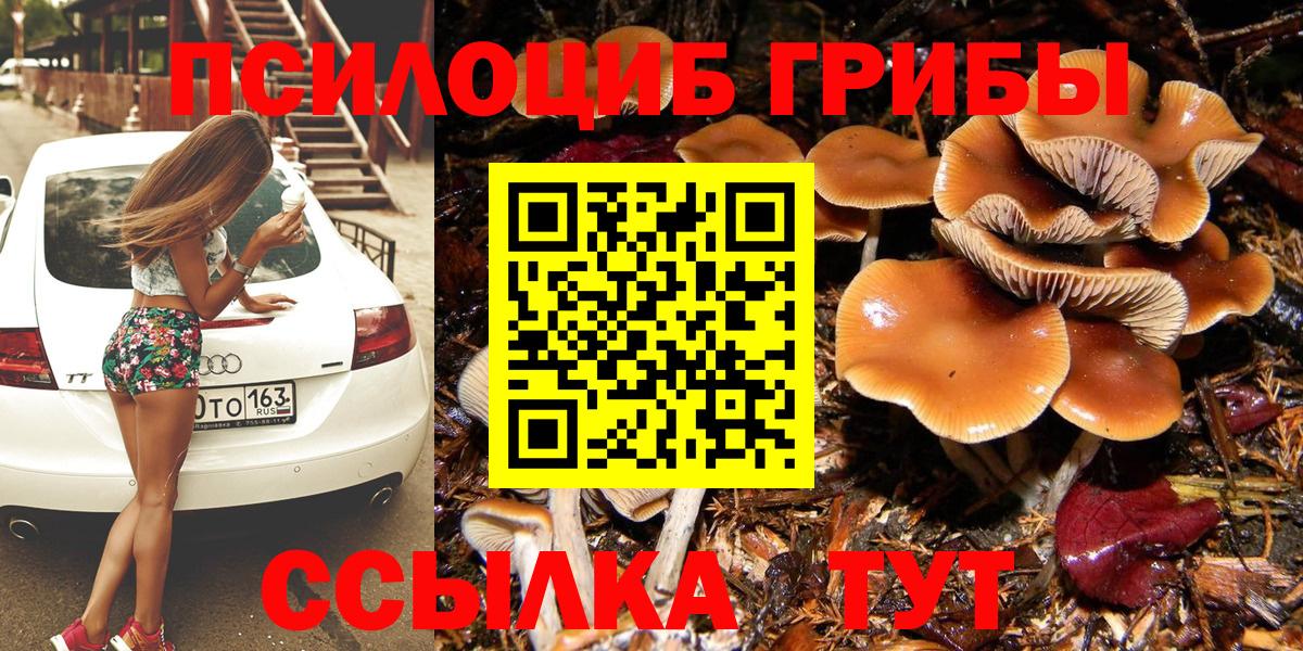 Псилоцибиновые грибы Psilocybe Мариинск